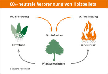 CO2 neutrale Verbrennung von Holzpellets DEPI CO2 Kreislauf 1